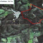 LOTE 001 - 33,70 HECTARES DE TERRAS DE CAMPO EM ACEGUÁ - RS