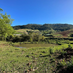 LOTE 001 - Área de 114.660,00m², sem benfeitorias, situada na Linha Três Barras, no Município de Putinga/RS - matrícula n° 8.399 do RI de Arvorezinha/RS