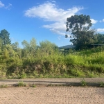 LOTE 007 - Um terreno com área de 320,17m², lado esquerdo da estrada Geral da Linha Primavera, Sinimbu-RS