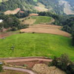 LOTE 002 - Parte ideal de 73.148,31m², sem benfeitorias, dentro de uma área de terras com a superfície de 103.092,00m², localizada na Linha Schmidt, Westfália/RS
