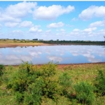 LOTE 001 - UMA FRAÇÃO DE CAMPO DE 150,57 HA, MATR.  16167 CRI ALEGRETE