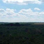 LOTE 001 - UMA FRAÇÃO DE CAMPO DE 150,57 HA, MATR.  16167 CRI ALEGRETE