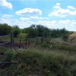 LOTE 001 - UMA FRAÇÃO DE CAMPO DE 150,57 HA, MATR.  16167 CRI ALEGRETE