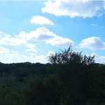 LOTE 001 - UMA FRAÇÃO DE CAMPO DE 150,57 HA, MATR.  16167 CRI ALEGRETE