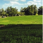 LOTE 002 - UMA FRAÇÃO DE CAMPO DE 9,4397 HECTARES, CFE MATR. 8.218 CRI ROSÁRIO DO SUL