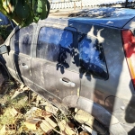 LOTE 010 - Ford/Fiesta