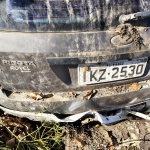 LOTE 010 - Ford/Fiesta