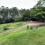 LOTE 001 - Área de 101.640,00m², contendo uma casa residencial em alvenaria e dois galpões em madeira, situada na estrada secundaria a Rua José Francisco Algaier, Picada São Bento, Santa Clara do Sul/RS