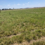 LOTE 001 - DIREITOS E AÇOES HEREDITÁRIOS DE FRAÇÕES DE CAMPO DE 65,16 HA + 49,78 HA, CONFOME MATR 3.279 DO CRI DE ALEGRETE