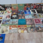 LOTE 038 - 56 Discos de Vinil - Tamanhos Diversos