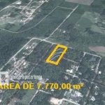 LOTE 01 - LEILÃO JUDICIAL DE UM TERRENO URBANO C/7.770,00M² - VILA PINHEIRO - B. ANA RECH - CAXIAS DO SUL