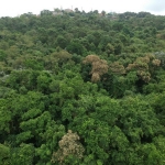 LOTE 002 - Área para loteamento de 57.612,45m² em Sapucaia do Sul/RS