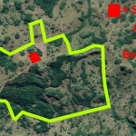 LOTE 01 - LEILÃO JUDICIAL DE UMA GLEBA DE TERRAS, CAMPOS E MATOS EM FAZENDA DOS ILHÉUS DISTRITO DE CRIÚVA – CAXIAS DO SUL/RS