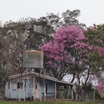 LOTE 004 - UMA FRAÇÃO DE CAMPO DE 10 HECTARES E 9.226 M²