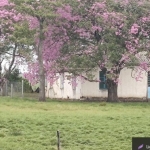 LOTE 004 - UMA FRAÇÃO DE CAMPO DE 10 HECTARES E 9.226 M²