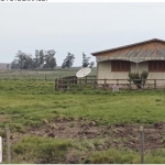 LOTE 004 - UMA FRAÇÃO DE CAMPO DE 10 HECTARES E 9.226 M²