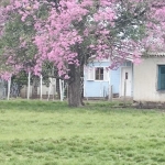 LOTE 004 - UMA FRAÇÃO DE CAMPO DE 10 HECTARES E 9.226 M²