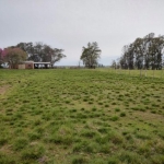 LOTE 004 - UMA FRAÇÃO DE CAMPO DE 10 HECTARES E 9.226 M²