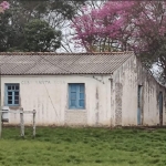 LOTE 004 - UMA FRAÇÃO DE CAMPO DE 10 HECTARES E 9.226 M²
