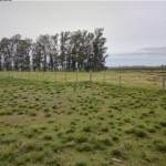 LOTE 004 - UMA FRAÇÃO DE CAMPO DE 10 HECTARES E 9.226 M²